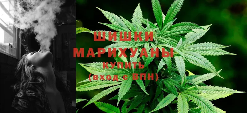 Конопля SATIVA & INDICA  как найти закладки  кракен сайт  Новоаннинский 